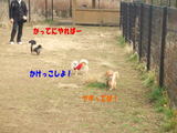 どうしても走りたいのね