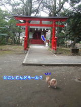 受験ですか・・・?