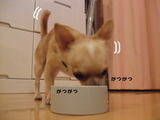 よし!