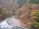 477519d0.jpg