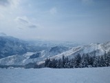 sNEC_2219