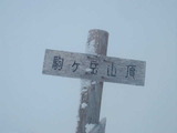 b185a833.jpg