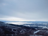 sNEC_0013