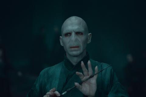harry-potter-ralph-fiennes-voldemort-actors-1660153-480x320
