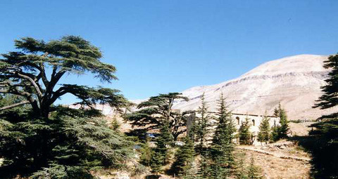 rebanon