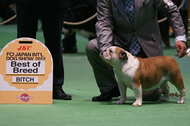 20120401޼ŽÞެŽÊŽßŽÝ_ŽÌŽÞŽÙ02