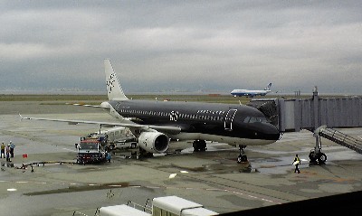 81600713.jpg