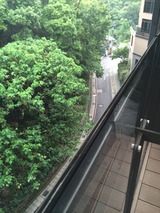 写真 4
