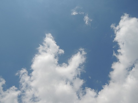 DSCN539102