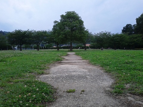 DVC00278