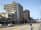 2010̾�Ų����ҥޥ饽����ͻ�