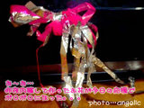 6e7d8489.jpg