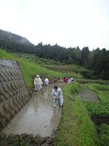 CA390374-0001