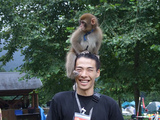 Tomoさん猿