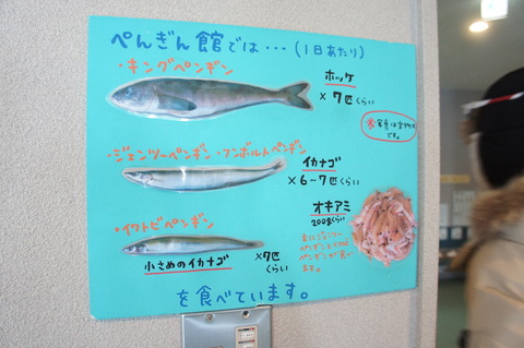 DSC05374