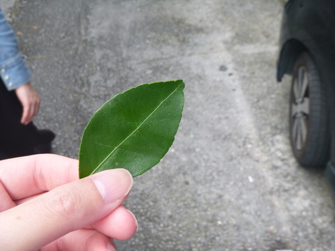 P1010580