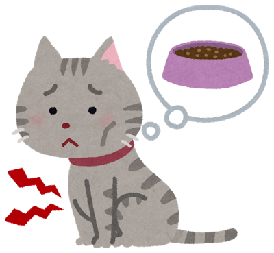 pet_cat_hungry
