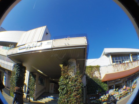 IMGP4701