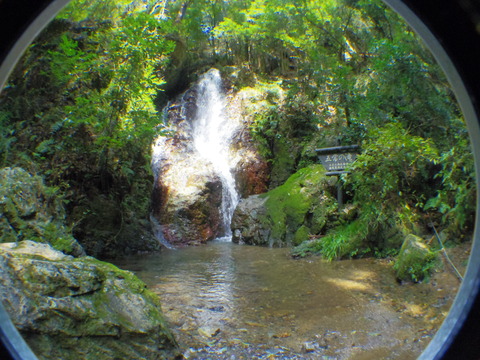 IMGP3525