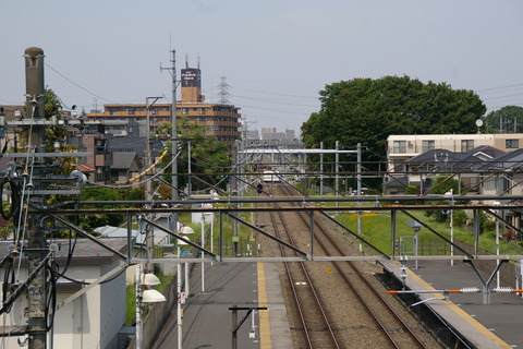 IMGP3074