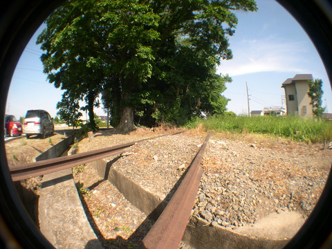 DSCN1228