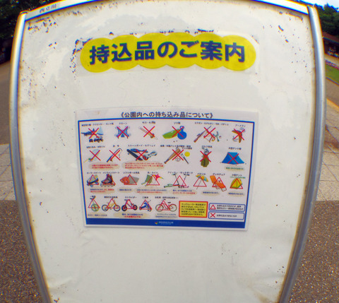 IMGP9054aa