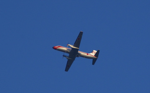 IMGP3177a