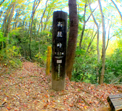 IMGP7560aa