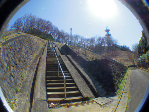 IMGP7424aa