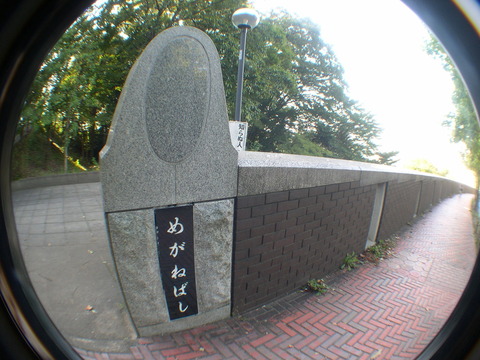 DSCN6805