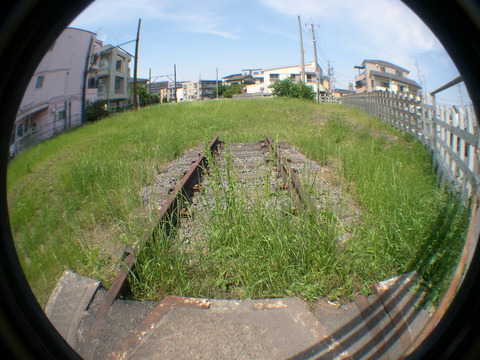 DSCN1081
