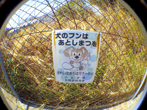 IMGP7423aa