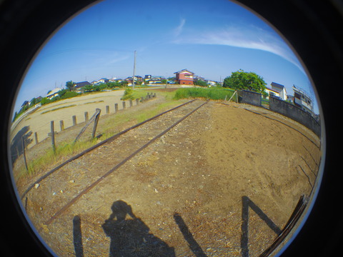 IMGP3123
