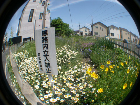DSCN1137
