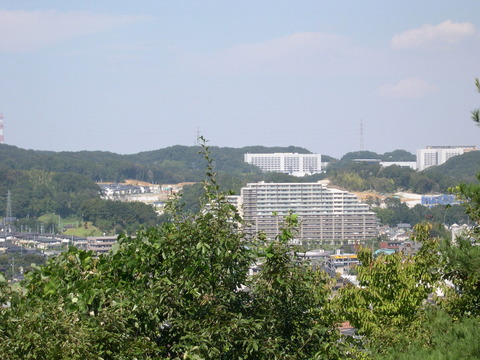 DSCN6776