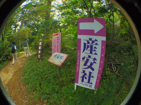 IMGP3294