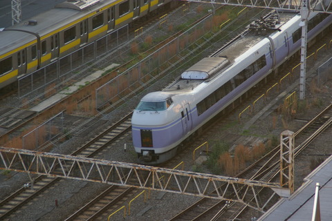 IMGP3923