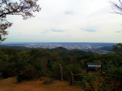 IMGP7511aa