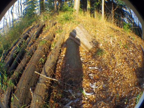 IMGP7465aa
