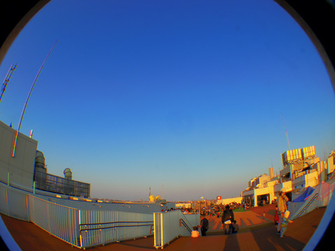 IMGP6284a