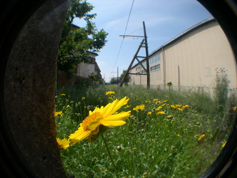 DSCN1092