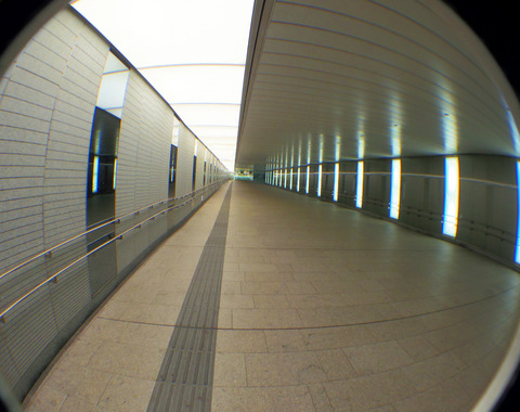 IMGP8219aa