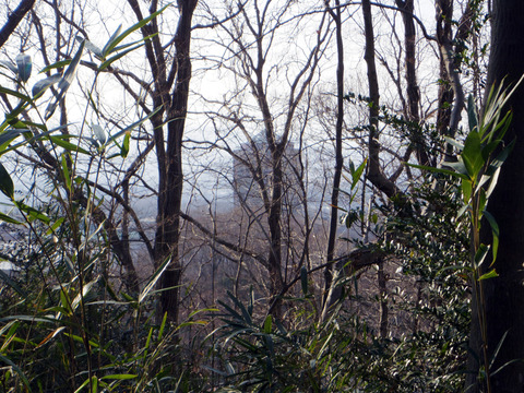IMGP7468a