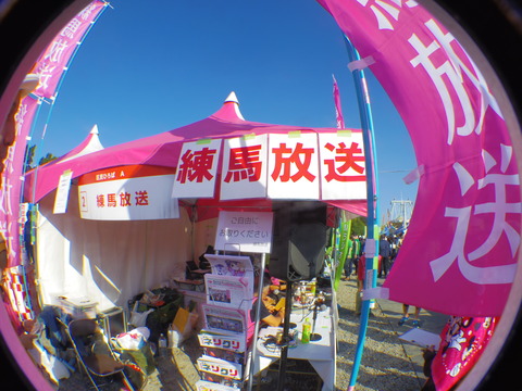 IMGP3796