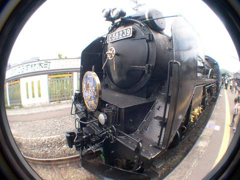 DSCN2221aa
