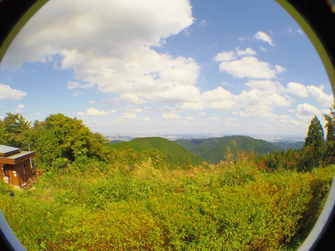 IMGP3165