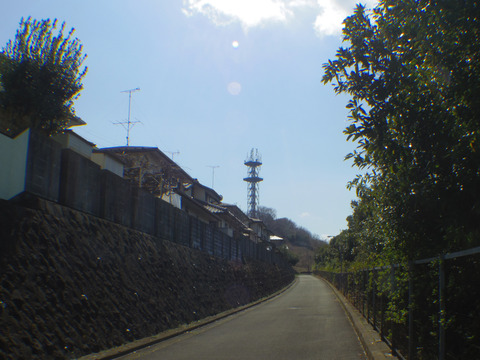 IMGP7422aa
