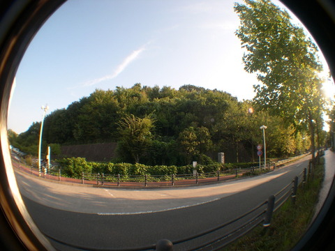 DSCN6810