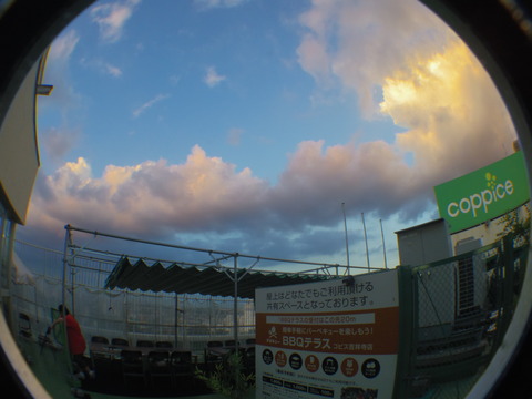 IMGP8992