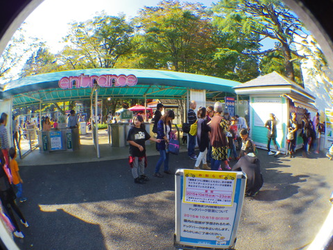 IMGP3780